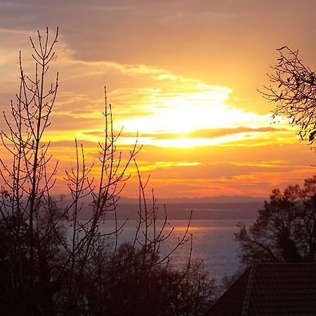 Villa Von Soden - Hotel Garni Friedrichshafen Kültér fotó