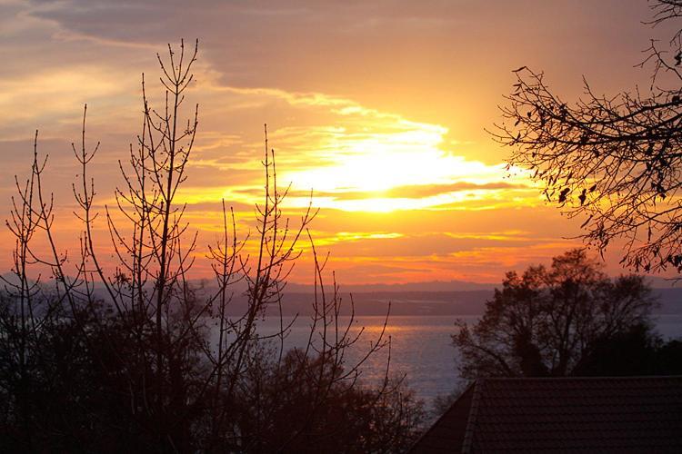 Villa Von Soden - Hotel Garni Friedrichshafen Kültér fotó